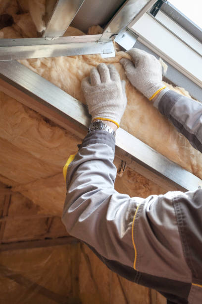 Best Specialty Insulation in Ruskin, FL