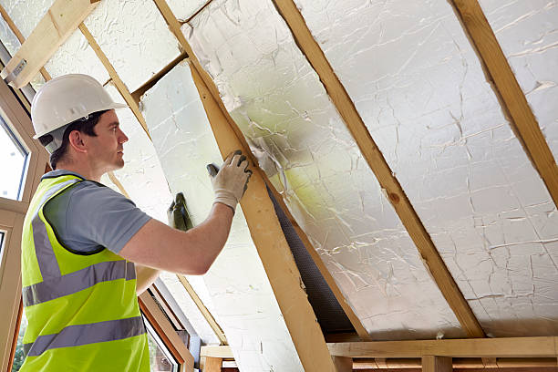 Best Residential Insulation in Ruskin, FL