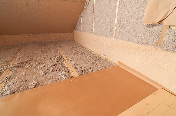 Best Insulation Installation Services in Ruskin, FL